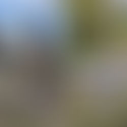 Exceptional Horse Riding Experiences in the Andes 2021. Guest Reviews.