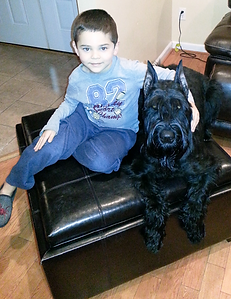 20140105_191258_edited.png