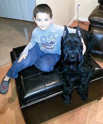 20140105_191258_edited.png