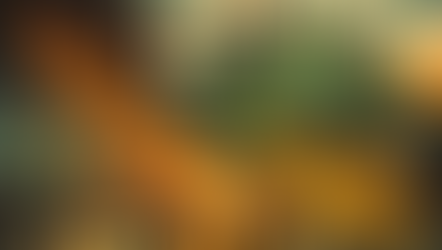 Upwork Aktie nach dem Crash: Cash-Maschine im Ausverkauf – oder Plattform im Abstieg?