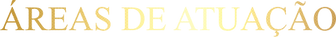 ÁREAS DE ATUAÇÃO.png