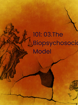 101: 03. The Biopsychosocial Model