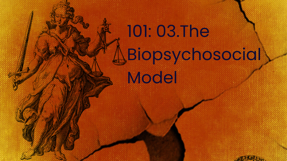 101: 03. The Biopsychosocial Model