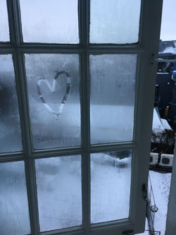 LEFT MY HEART HERE TOO