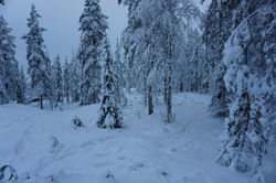 FOOTPRINTS TAKE THE LEAD