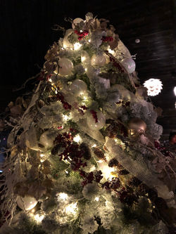 Christmas - the best time to be here