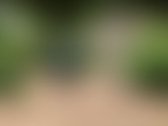 Was tun gegen die Hungersnot im Süden Madagaskars?