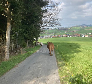 WhatsApp Image 2023-04-23 at 14.55.25 (1).jpeg