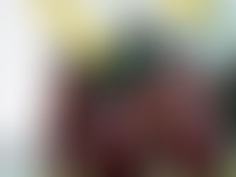 Erzurumspor - Sakaryaspor: 0-0