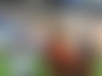 Adanaspor - Göztepe: 0-3