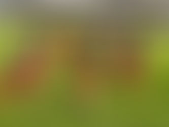 Yeni Malatyaspor'dan 595 Gün Sonra Gelen Gol...