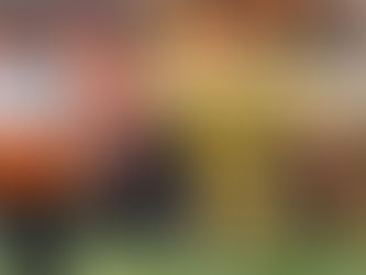 Fatih Tekke: ''Hata Yaptık, Cezalandırıldık''