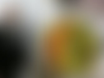 Eskişehirspor'un Yeni Teknik Direktörü Önder Karaveli Oldu