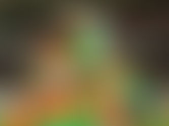 Alanyaspor İkinci Yarıda Farklı Kazandı | Alanyaspor - Gaziantep FK: 3-0