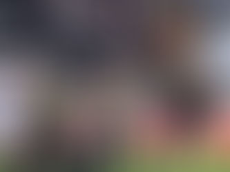 Beşiktaş - Ankaragücü: 2-0