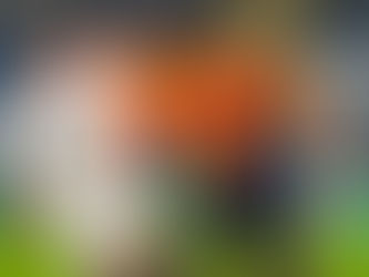 Başakşehir 3 Puanı Tek Golle Aldı | Başakşehir - Sivasspor: 1-0