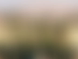 Yeni Malatyaspor Geri Dönüyor!