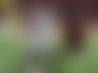 Gaziantep FK - Alanyaspor: 0-3