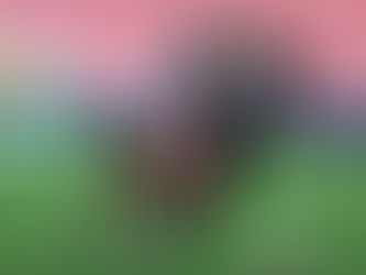 Hatayspor - Sivasspor: 1-1