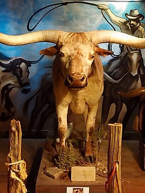 Butler Longhorn Museum