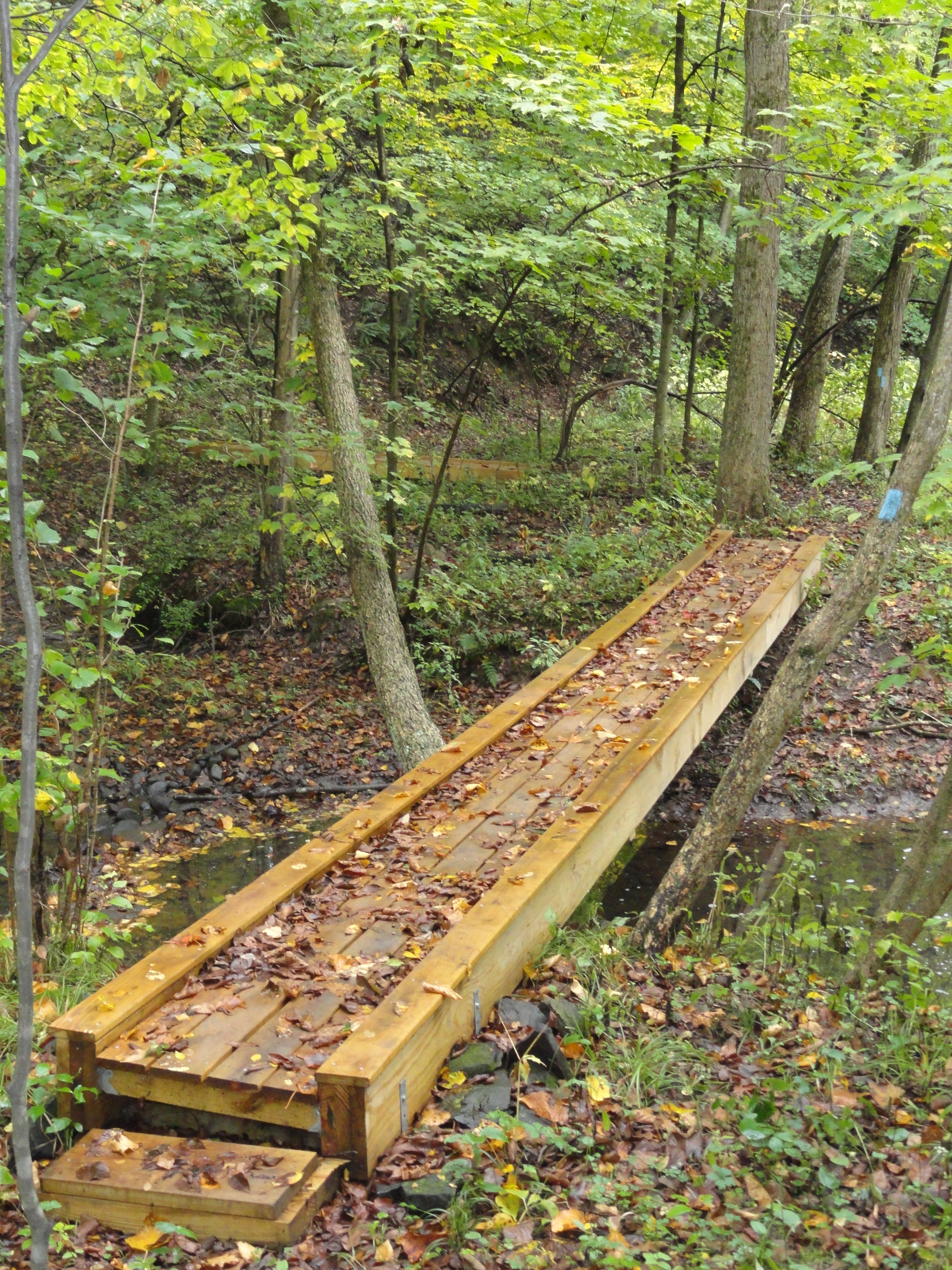 Our Township southbeavertwp