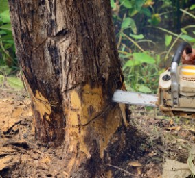 Losing weight is easier when you sharpen the saw