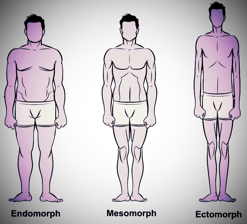 Body types