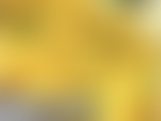 What Should I Eat to Lose Weight