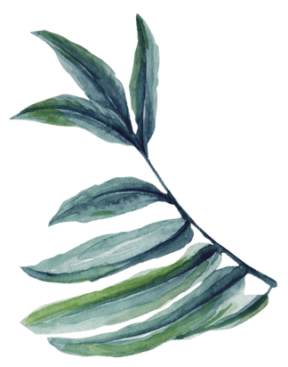Leaf _edited_edited.png