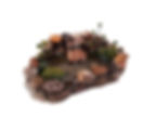 Serenity pond, Small