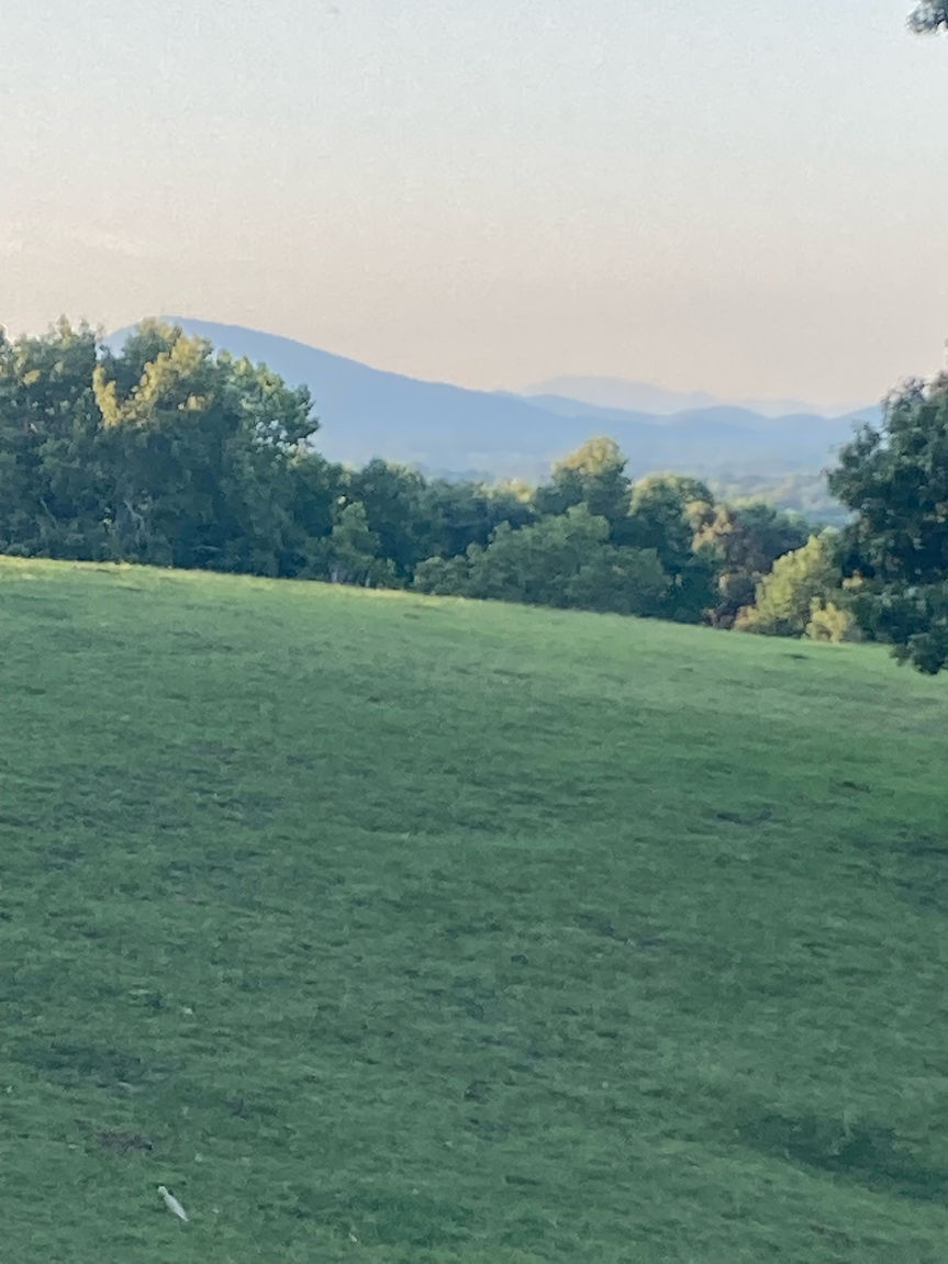 IMG_0397.jpeg
