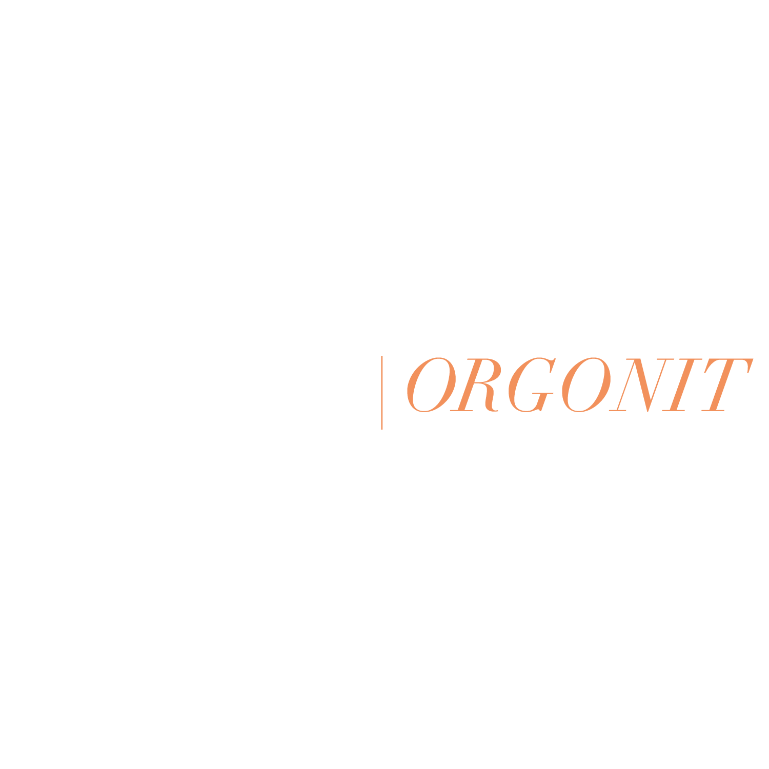 text3.png