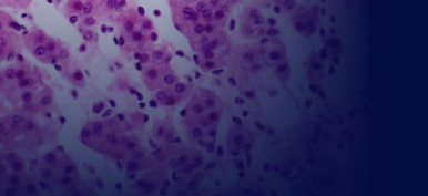 Targeted Biosciences (10).png