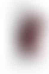 Flesh of the Unforgiven Poster hand painted and digital typography.