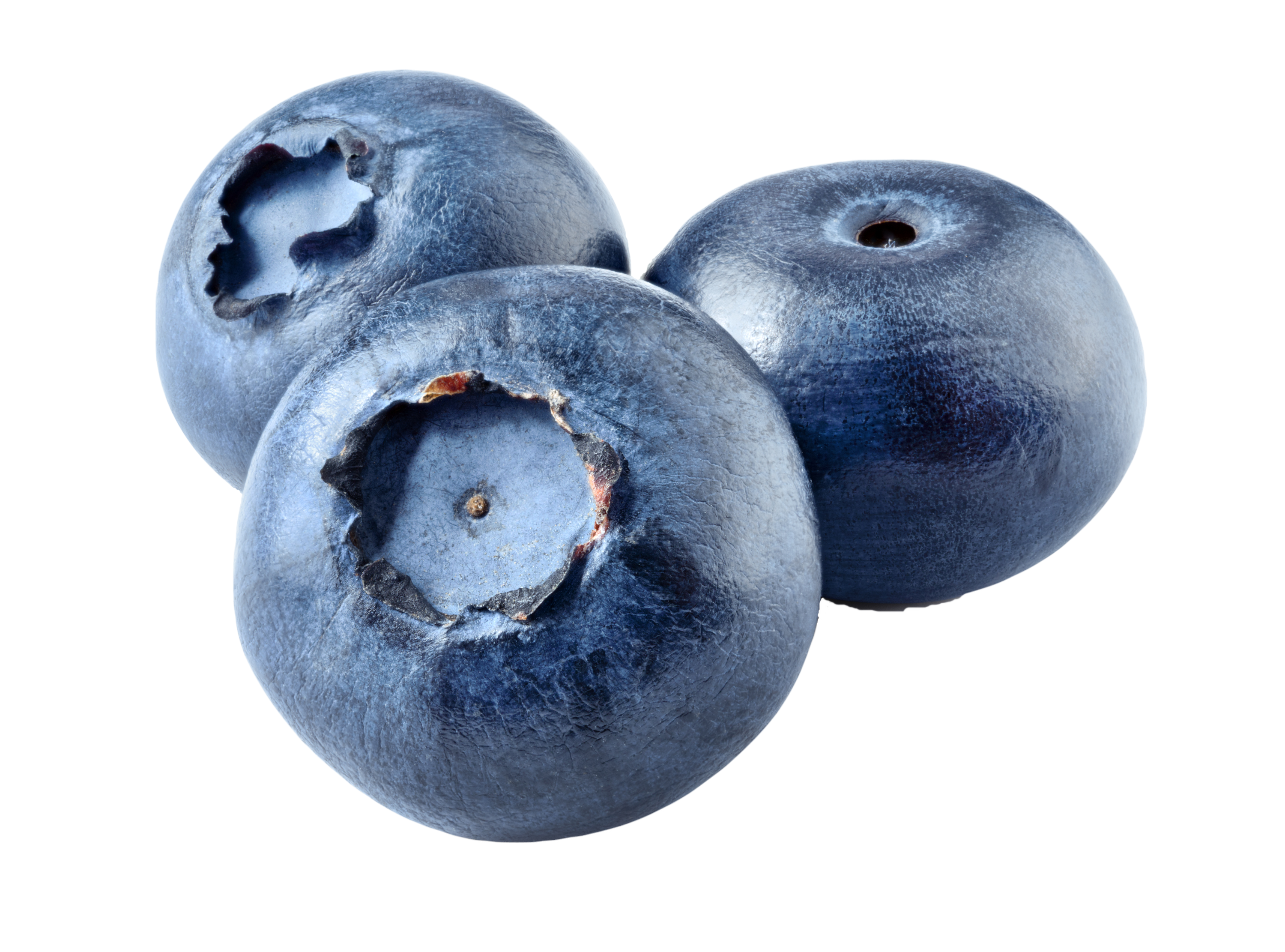 Blueberry