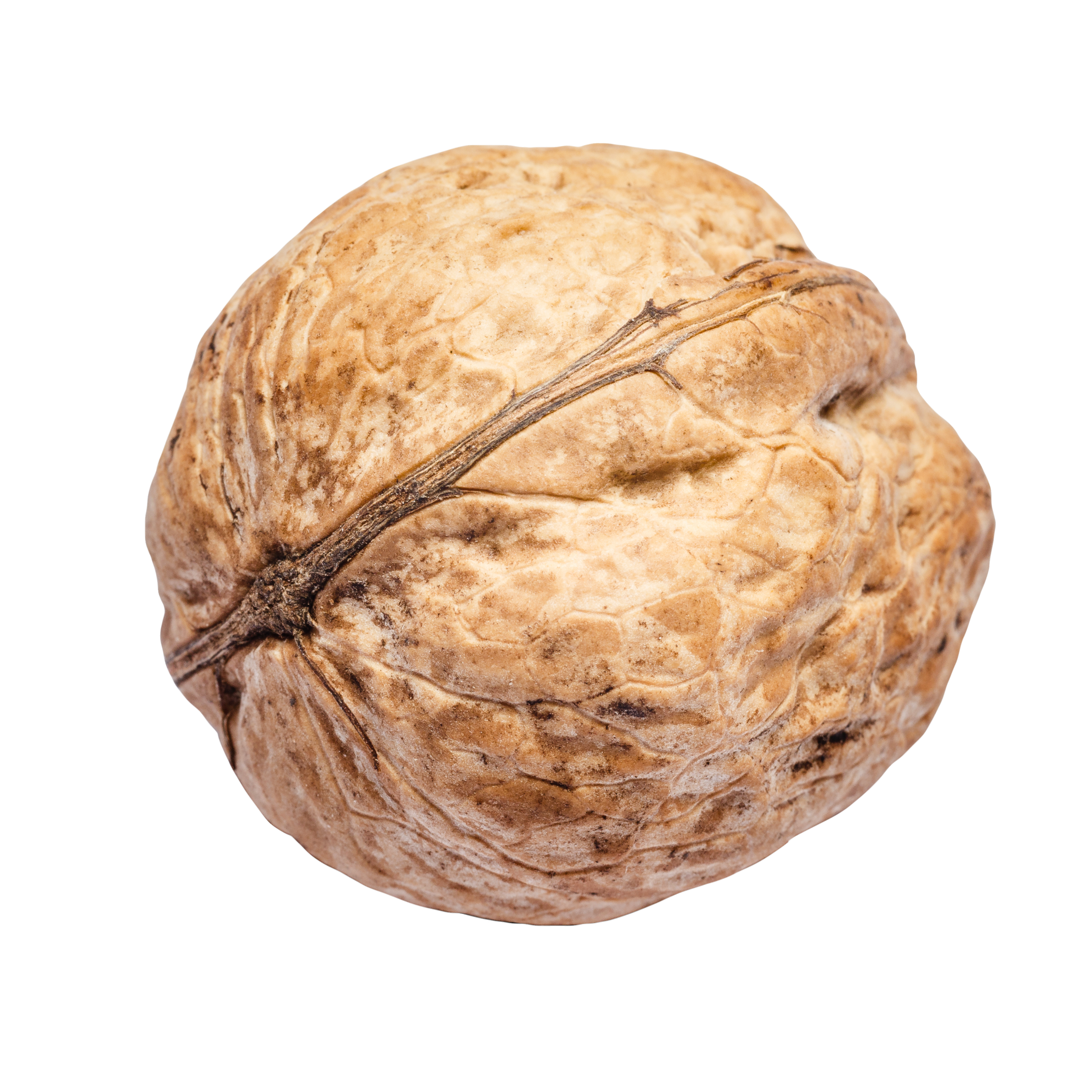 Walnuts