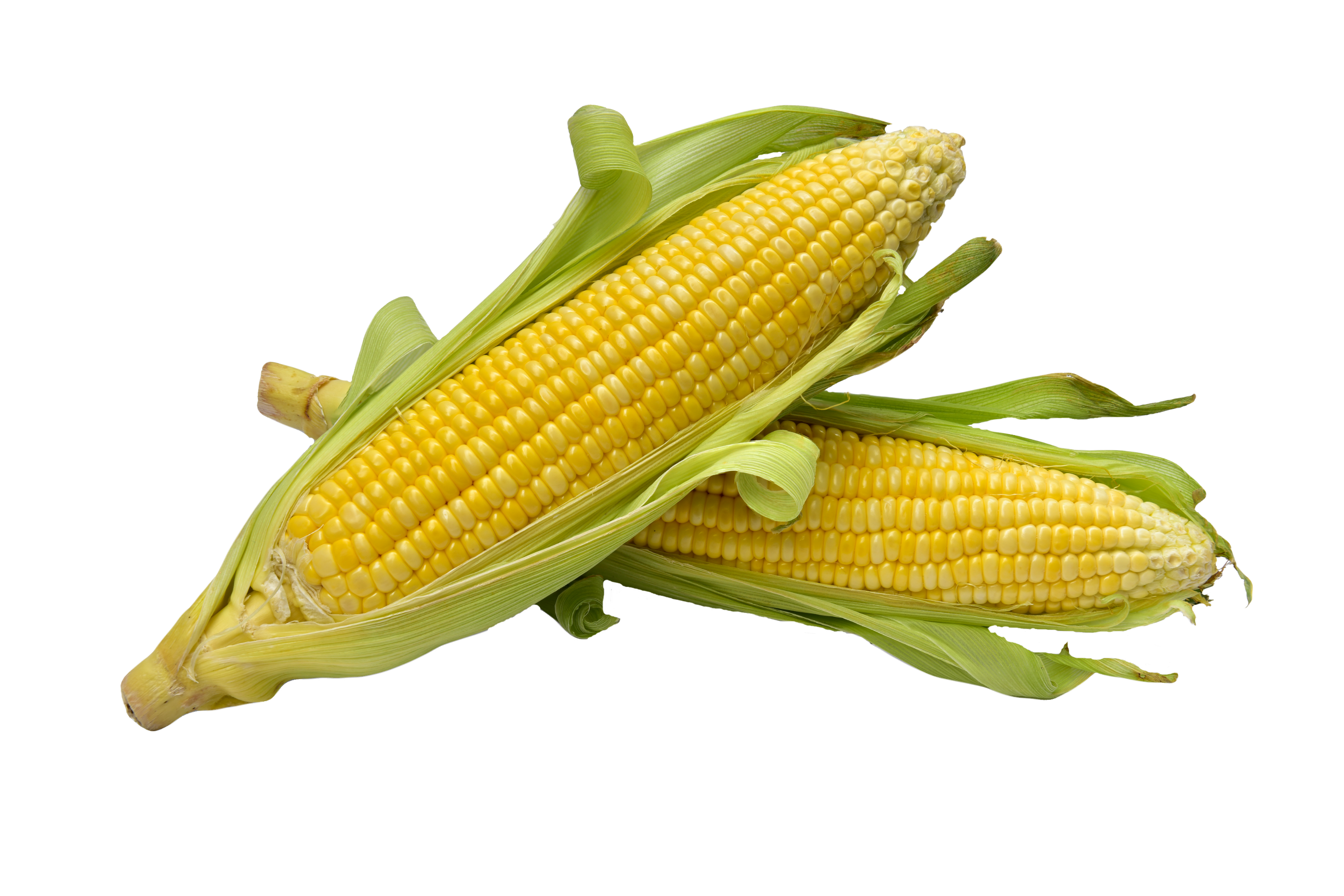 Corn