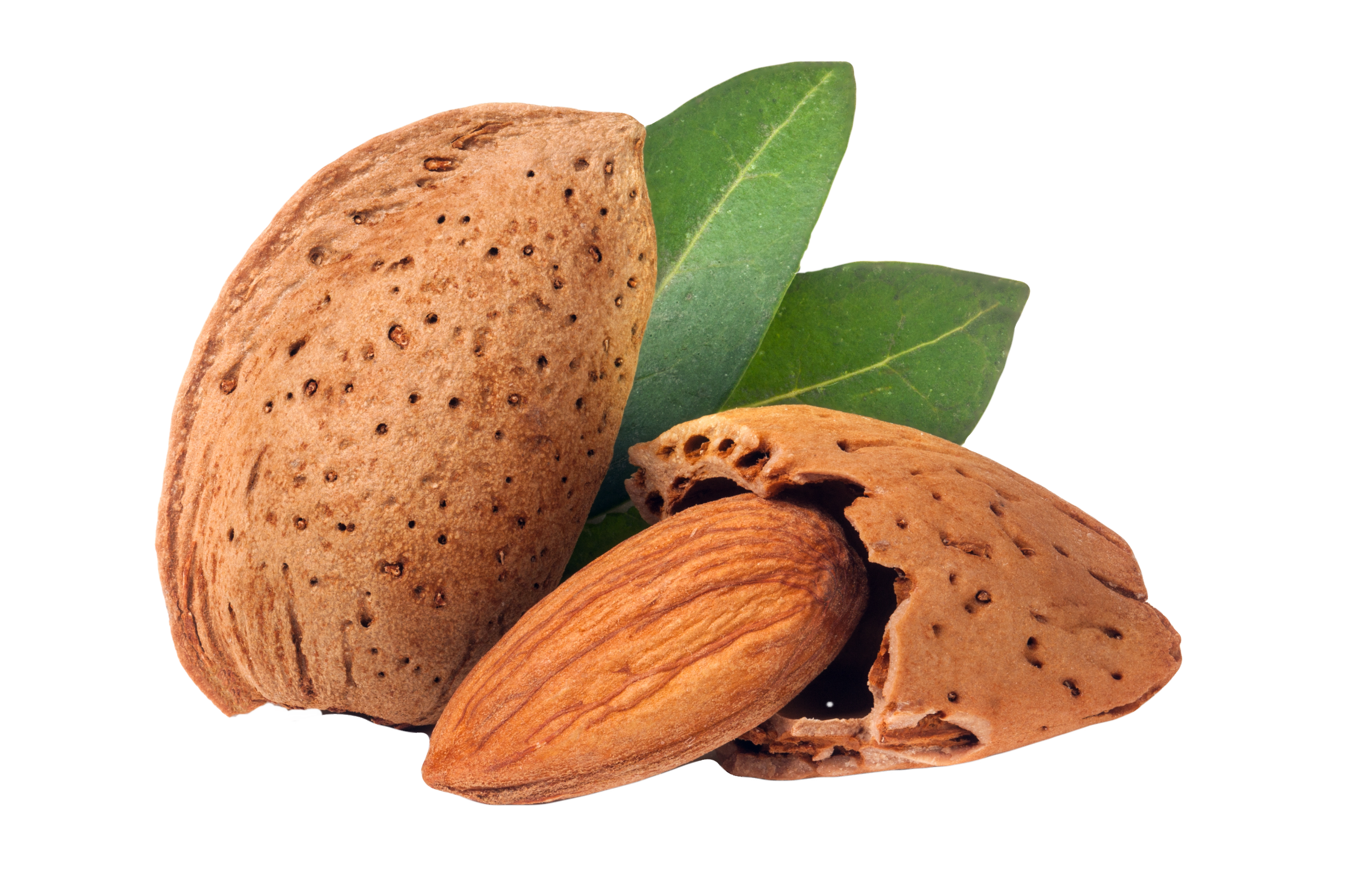 Almonds