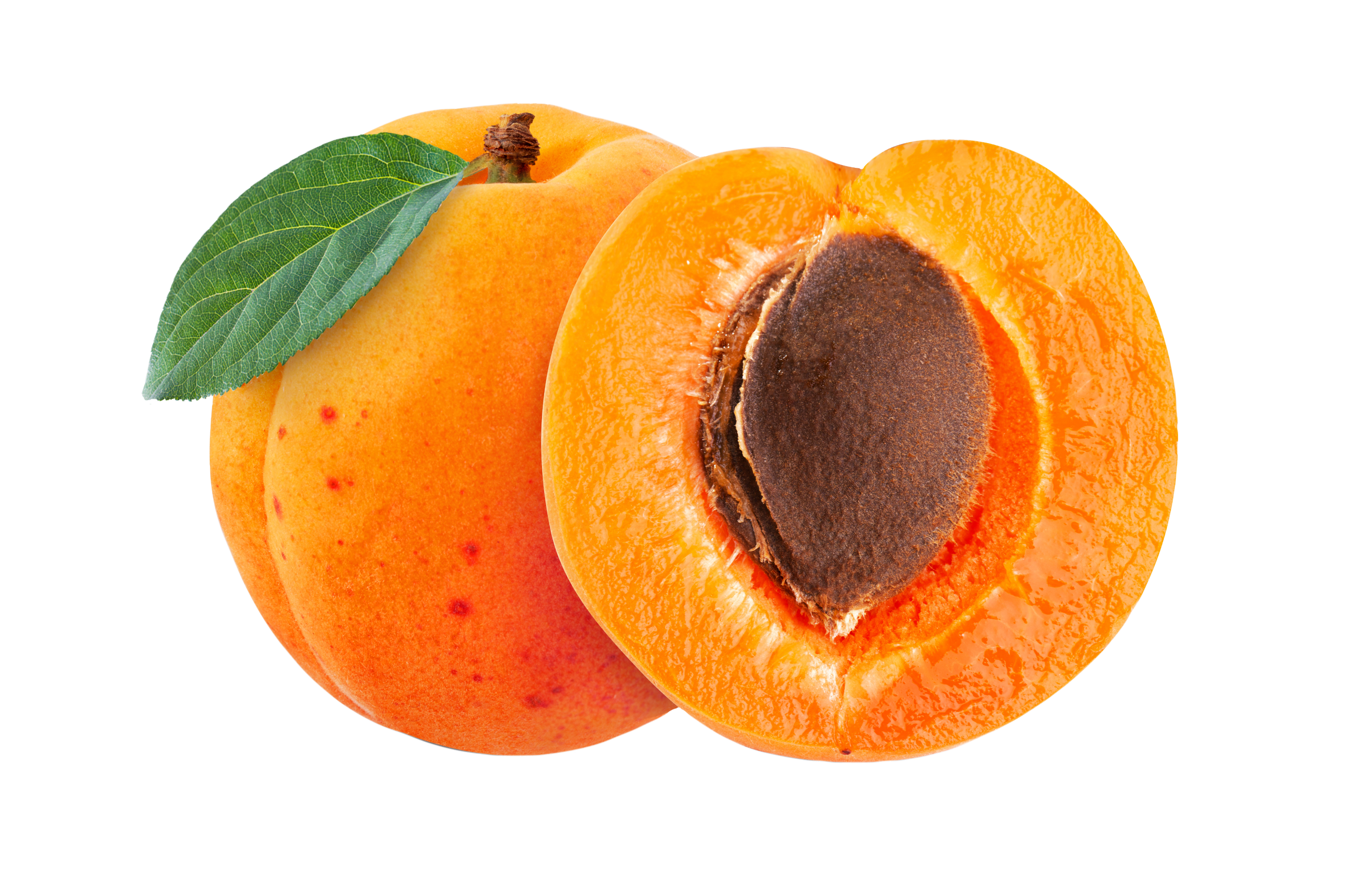 Apricots