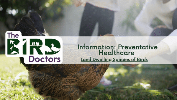 BlogBannerTBD Preventative health care