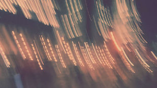 Schedule - November 2024