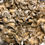Thumbnail: Fresh Maitake/ Hen of the Woods Mushroom