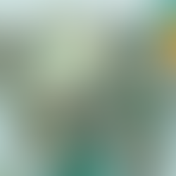 Audit Shows Continuing Issues with State's Unemployment Insurance Trust Fund