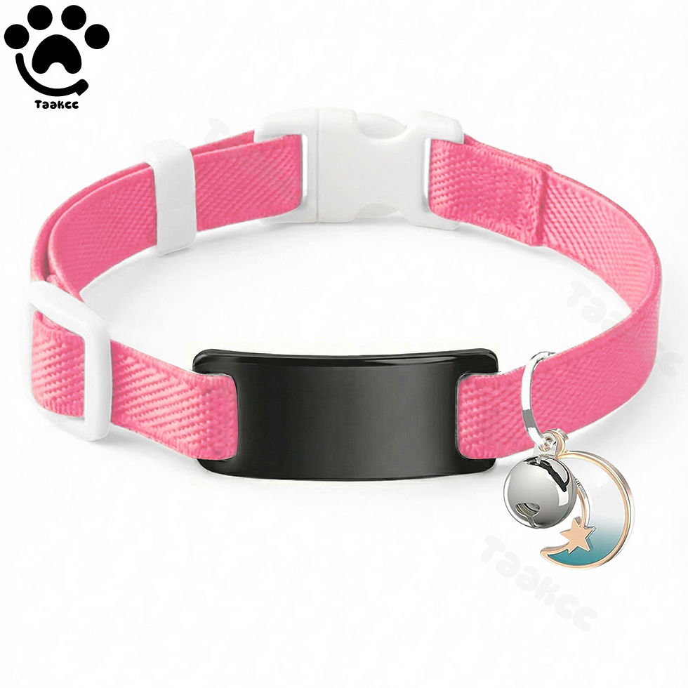 Thumbnail: Customized Fashion Elastic Cat Collar Free Engraved Puppy Kitten Anti-lost Pet I