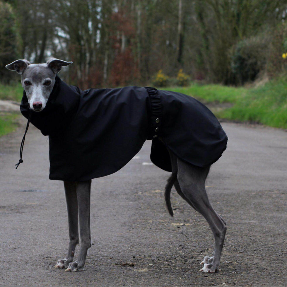 Thumbnail: Adjustable Dog Raincoat Waterproof Jacket | Spring Cloak Lightweight with Drawst