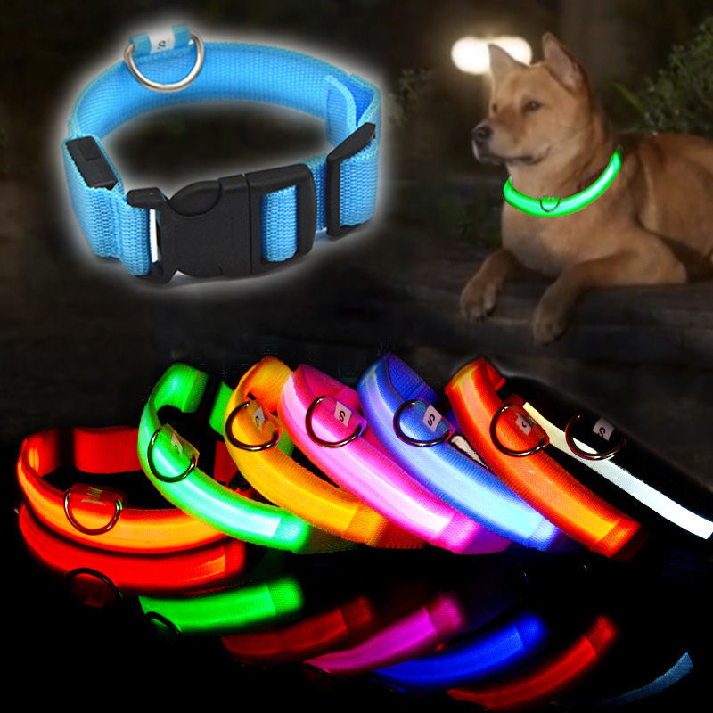 LED Illuminated Dog Collar Adjustable Flashing Lights USB Rechargeable Suitable