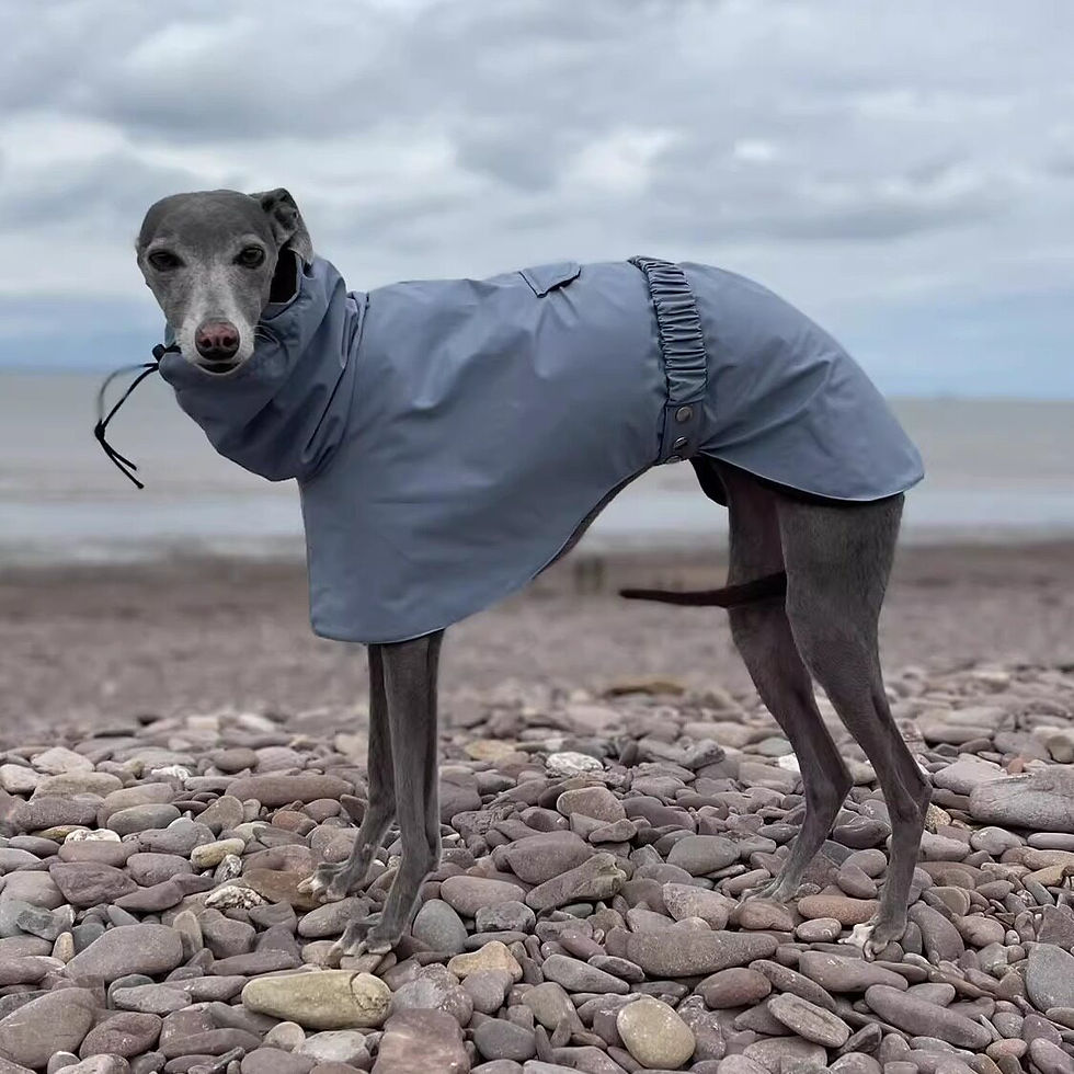 Thumbnail: Adjustable Dog Raincoat Waterproof Jacket | Spring Cloak Lightweight with Drawst