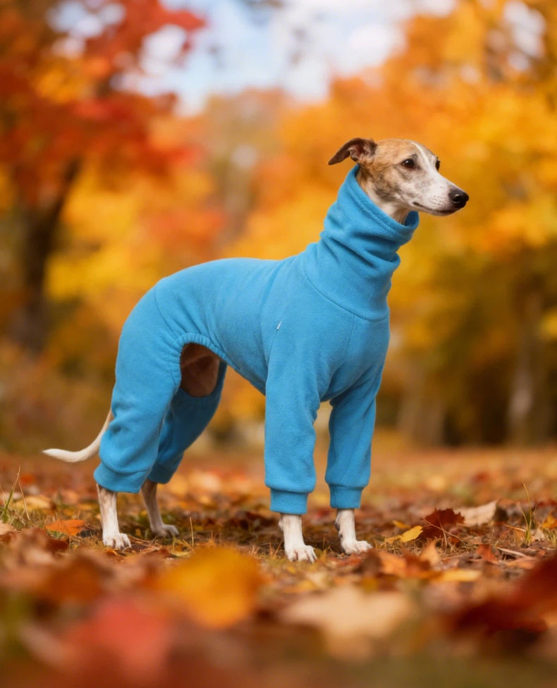 Thumbnail: 1pc Blue Polar Fleece Pet Clothing for Dogs Is Warm and Comfortable, Suitable fo