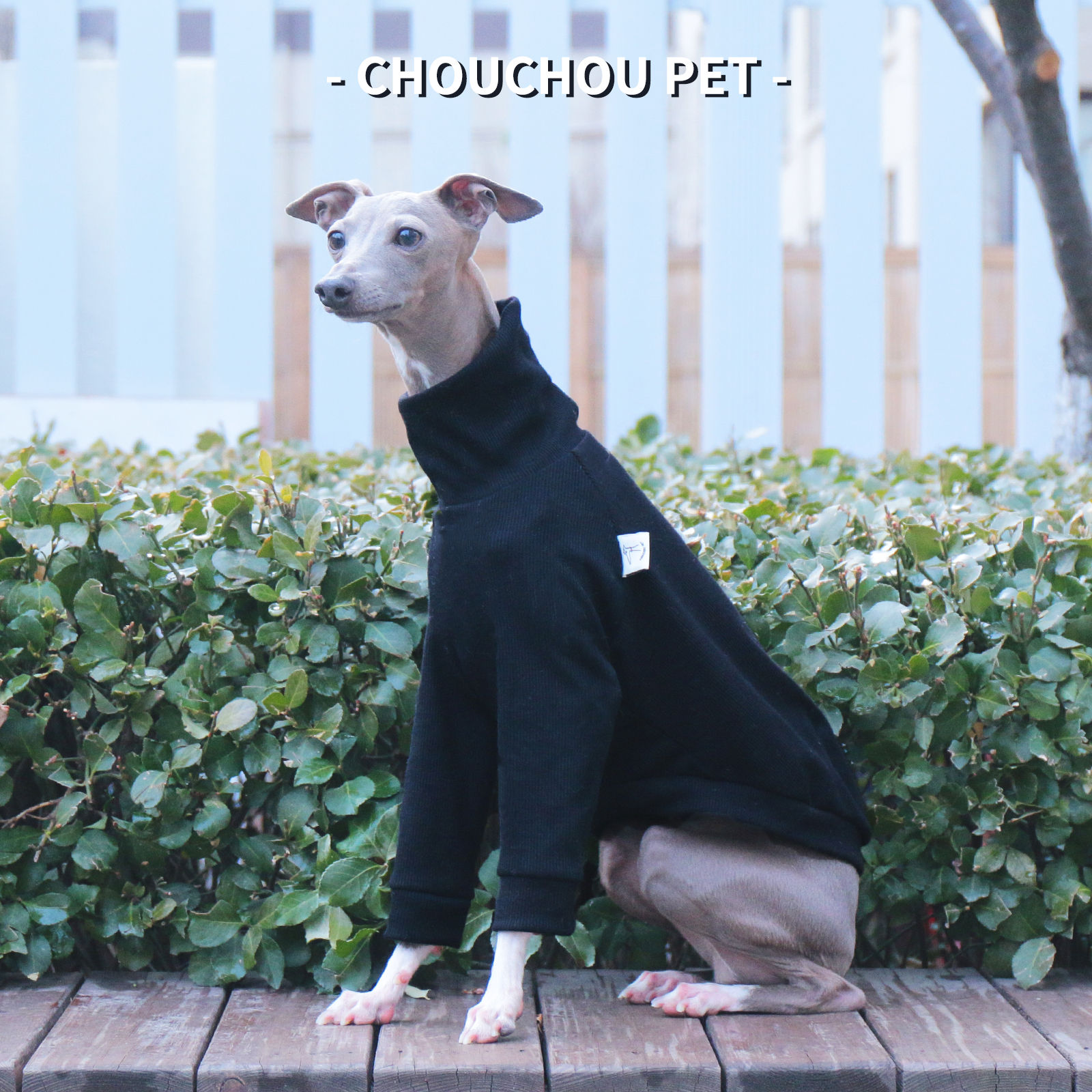Italian Greyhound/Whippet Slim Fit Dog Clothing Turtleneck Stretch Pet Bottoming