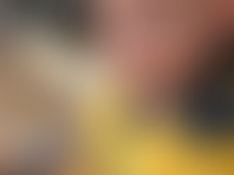 A criança e seus vínculos